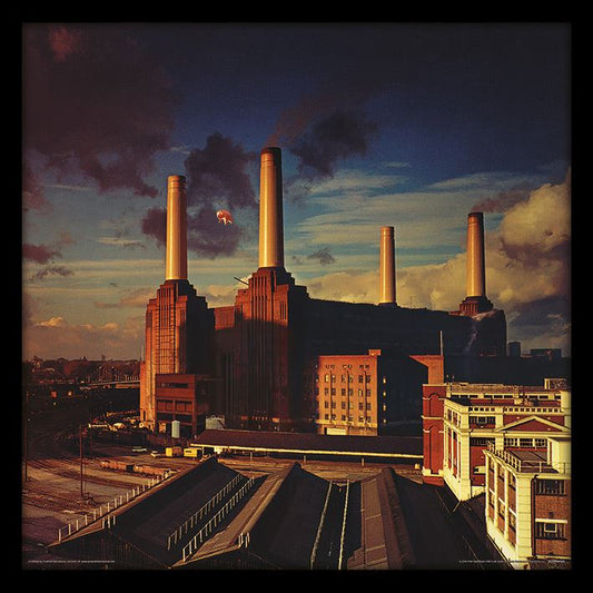 Pink Floyd (Animals) Framed Album Cover