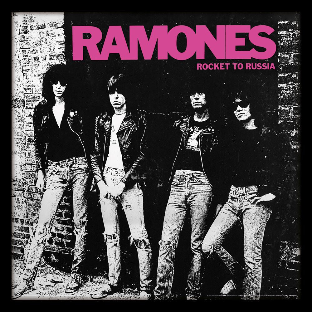 Ramones Framed Album Cover
