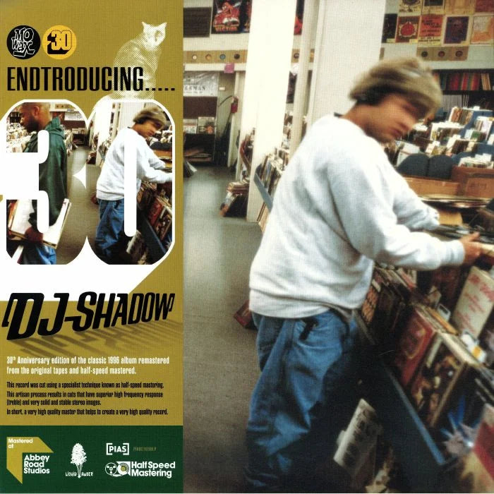 DJ Shadow - Endtroducing..... - 2xLP - album cover image
