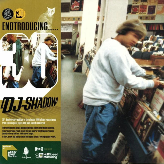 DJ Shadow - Endtroducing..... - 2xLP - album cover image