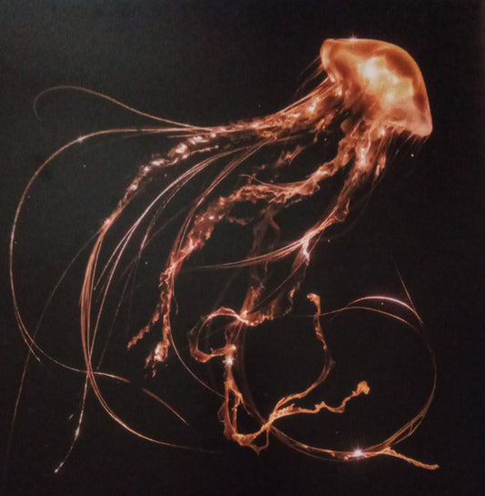 Royal Blood - Back To The Water Below - LP