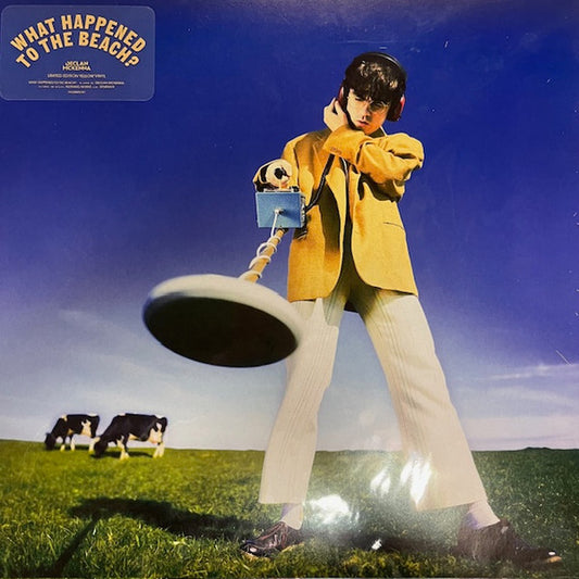 Declan McKenna - What Happened To The Beach? - LP