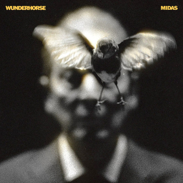 Wunderhorse - Midas - LP - album cover image