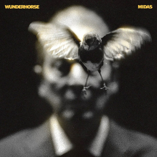 Wunderhorse - Midas - LP - album cover image
