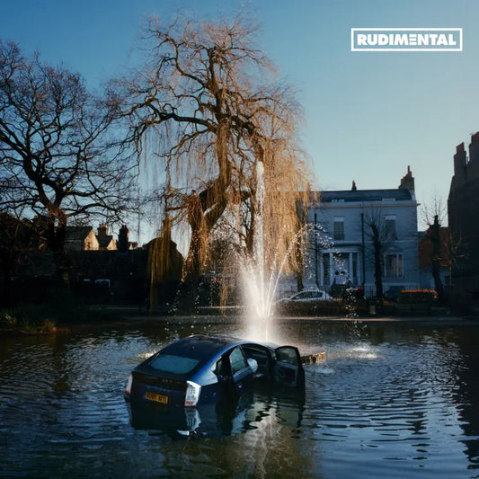 Rudimental - Rudim3ntal - LP