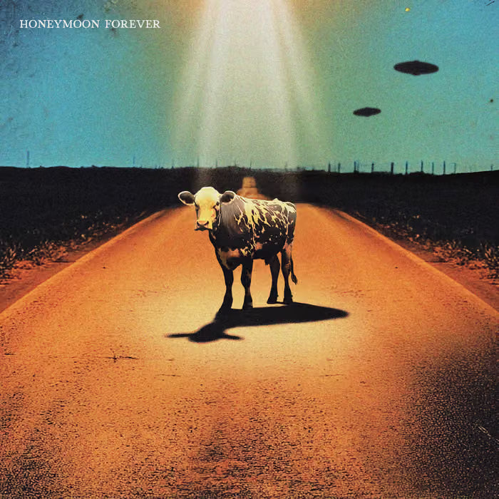 The Covasettes - Honeymoon Forever - LP